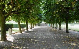 RIGHT AROUND THE CORNER ~ or What I Like About Our&nbsp;Neighborhood