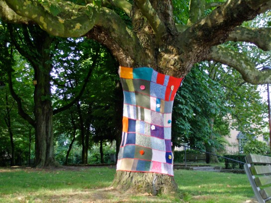 Have you ever seen a tree with a sweater on?