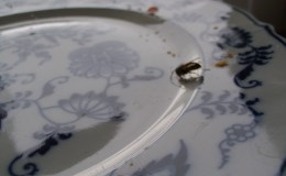 The Truth (about Mr. BEE)&nbsp;Revealed