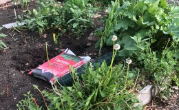 Seaside Community Garden of Joy ~Spring&nbsp;2022